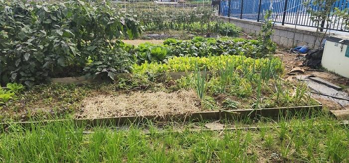 [크기변환]KakaoTalk_20251024_142227707_03.jpg 이미지